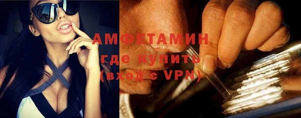 шишки Верхний Тагил
