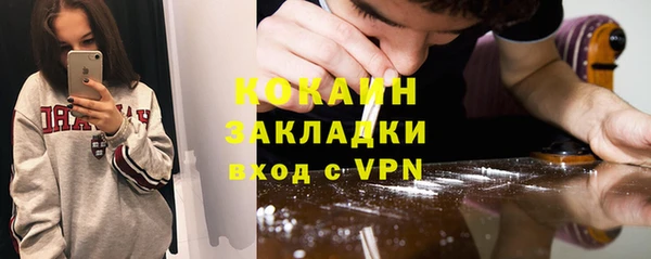 шишки Верхний Тагил