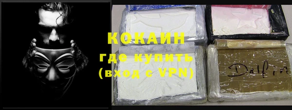 шишки Верхний Тагил