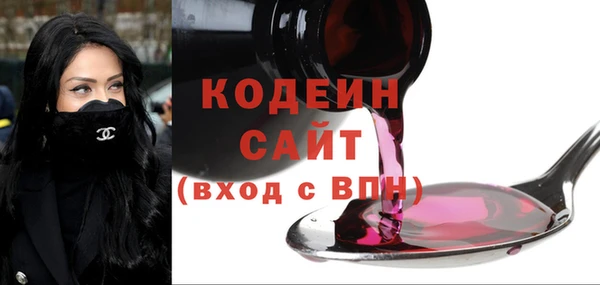 шишки Верхний Тагил