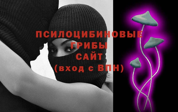 шишки Верхний Тагил