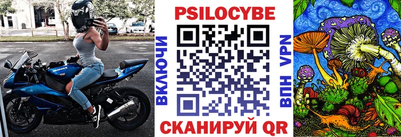 Купить где  Кисловодск  Галлюциногенные грибы Psilocybine cubensis 