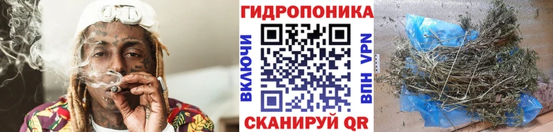 Купить  Кисловодск  Конопля тримм 